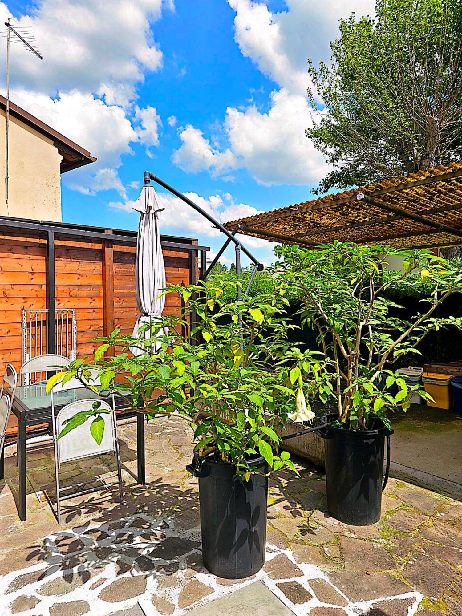 Domus Regia Apartamento